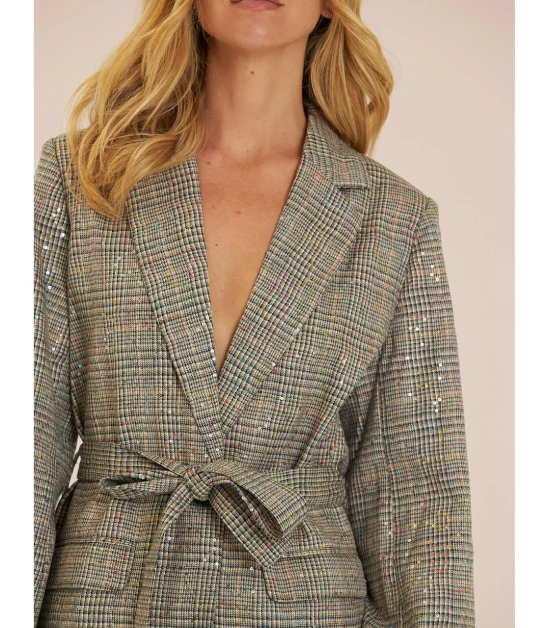 Alma en Pena Chaquetas|BLAZER DETALLES BRILLANTES CUADROS