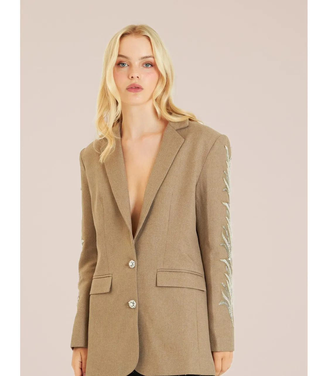 Alma en Pena Chaquetas|BLAZER MANGAS BORDADAS