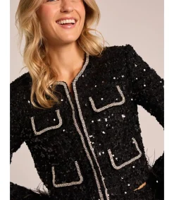 Alma en Pena Chaquetas|CHAQUETA LENTEJUELAS CON DETALLE