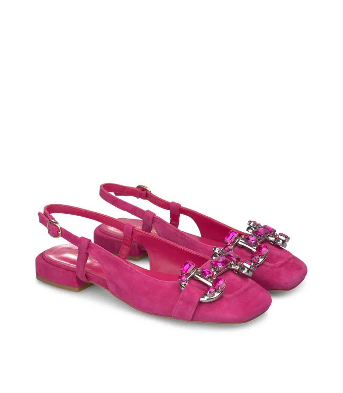 Alma en Pena Zapatos Planos|ZAPATO HEBILLA PEDRERÍA